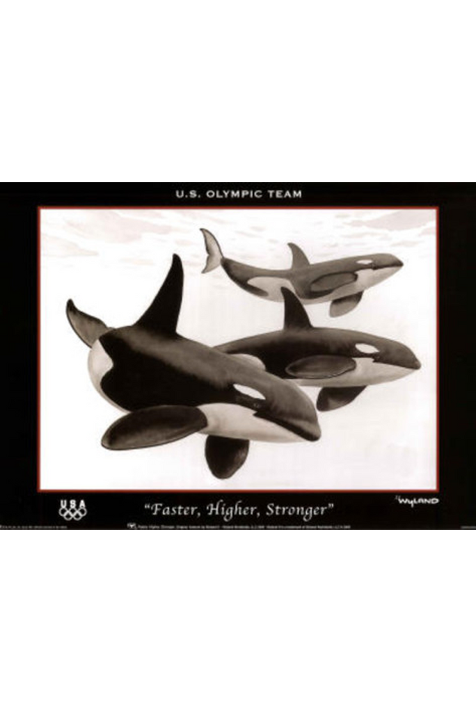 Orca Faster Higher Stronger